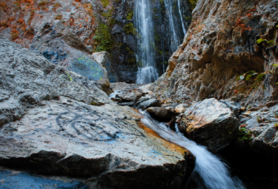 ​聚精会神造句,用聚精会神怎么造句