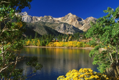 ​分辨造句,用分辨怎么造句