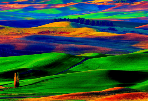 1693315617420340.png image.png