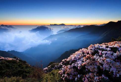 1693315949160574.png image.png