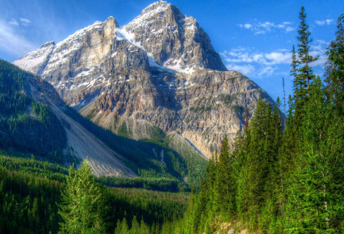 1693317442965234.png image.png