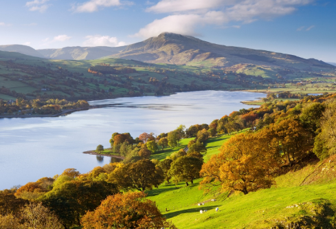 1693319100218210.png image.png