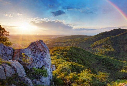 1693319598259730.png image.png