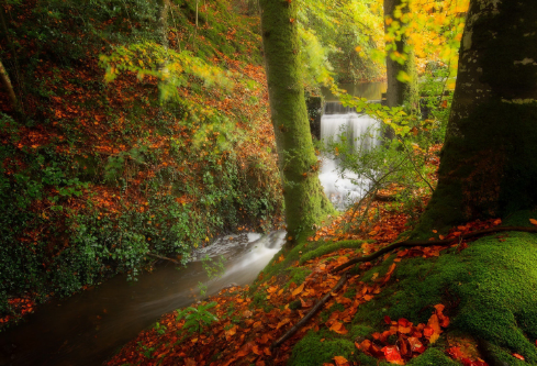 1693319764169552.png image.png