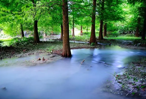 1693320096936116.png image.png