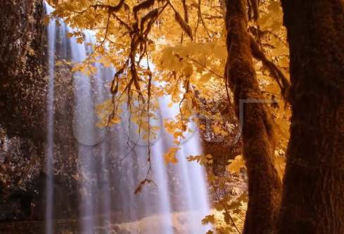 1693320593724791.png image.png