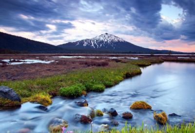 ​谬造句,用谬怎么造句