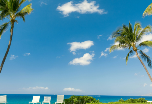 1693321754843292.png image.png