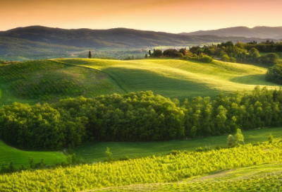 ​面上造句,用面上怎么造句