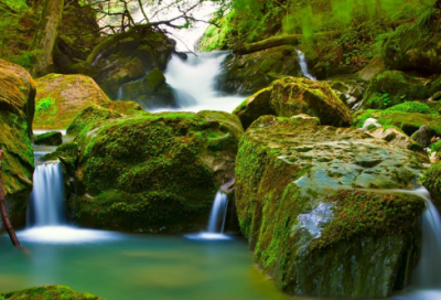 ​丰富多彩造句,用丰富多彩怎么造句