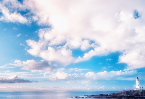 1693323910901749.png image.png