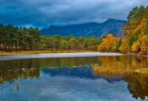 1693326399107691.png image.png