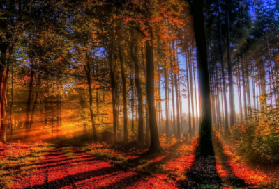 ​其实造句,用其实怎么造句