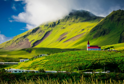 ​飞翔造句,用飞翔怎么造句