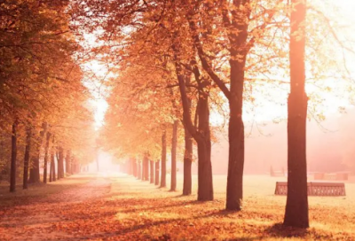 ​把手造句,用把手怎么造句