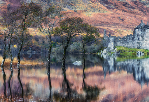 1693335196786445.png image.png