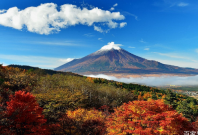 ​名列前茅造句,用名列前茅怎么造句