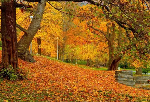 1693335694666732.png image.png