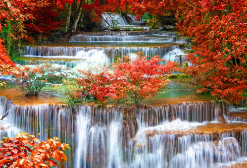 1693336192712224.png image.png