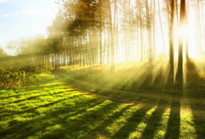 ​首屈一指造句,用首屈一指怎么造句