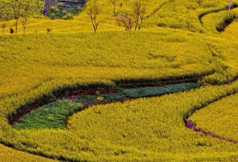 1693337021283469.png image.png