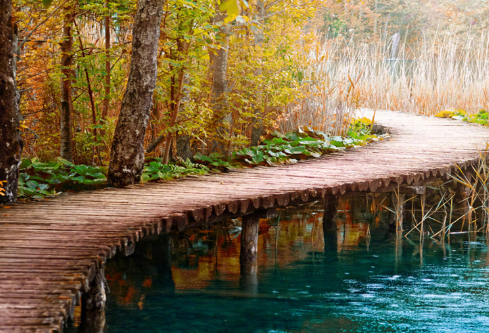 1693337187828892.png image.png