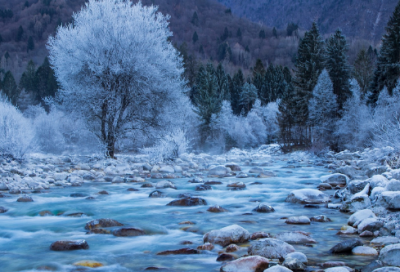 ​校服造句,用校服怎么造句