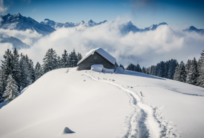 ​过往造句,用过往怎么造句
