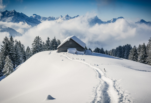 1693337850275617.png image.png