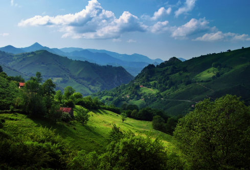 1693339343171792.png image.png