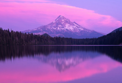 1693339674270436.png image.png