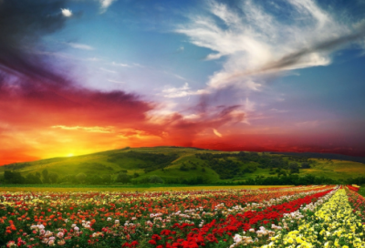 ​家教造句,用家教怎么造句