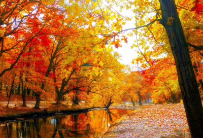 ​拉造句,用拉怎么造句