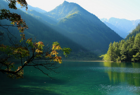 1693341832172716.png image.png