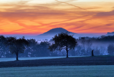 ​兴趣造句,用兴趣怎么造句