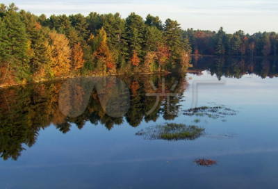 ​地平线造句,用地平线怎么造句