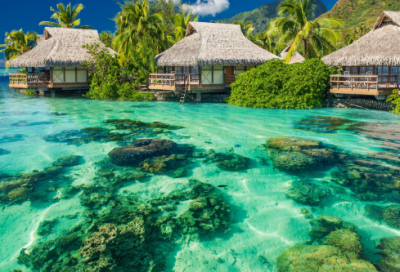 ​怪物造句,用怪物怎么造句