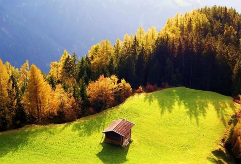 1693343490856614.png image.png