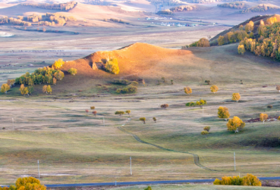 ​一股造句,用一股怎么造句