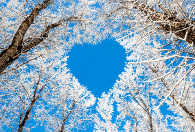 ​遍地造句,用遍地怎么造句