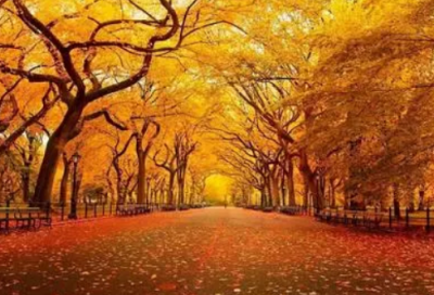 ​风暴造句,用风暴怎么造句