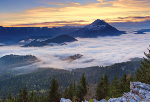 1693345314622334.png image.png