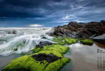 ​淤造句,用淤怎么造句