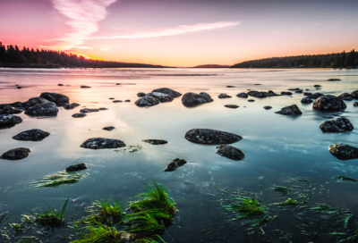 ​沐造句,用沐怎么造句