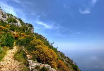 ​无家可归造句,用无家可归怎么造句