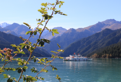 ​饱了造句,用饱了怎么造句