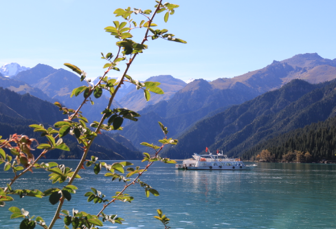 1693347470924287.png image.png