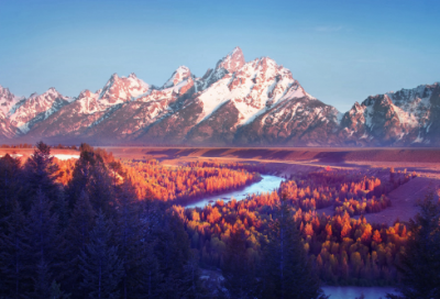 ​脖子造句,用脖子怎么造句