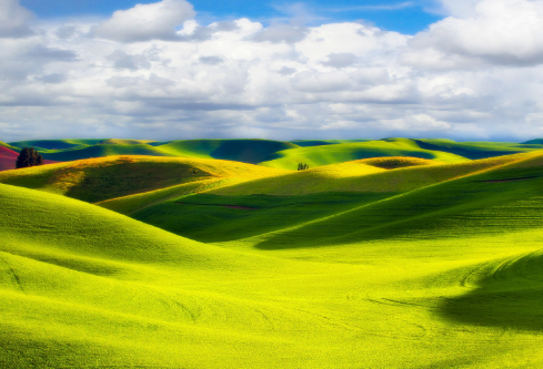 1693347968421989.png image.png