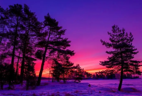 1693348134971852.png image.png